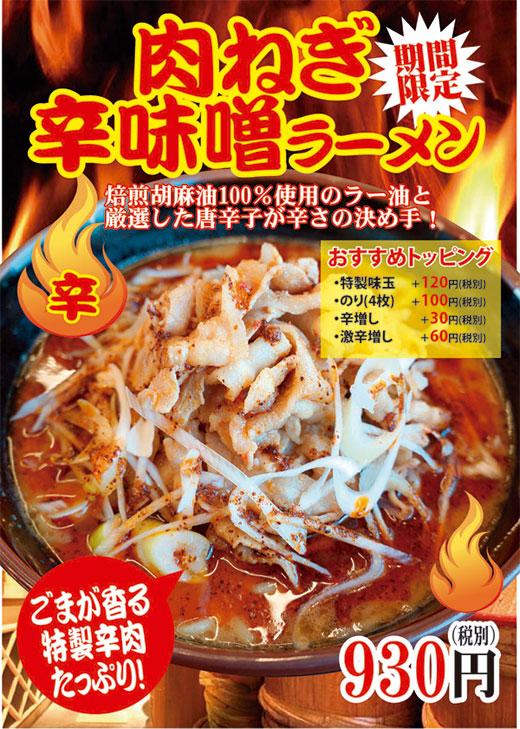 辛味噌ラーメン-フライヤー